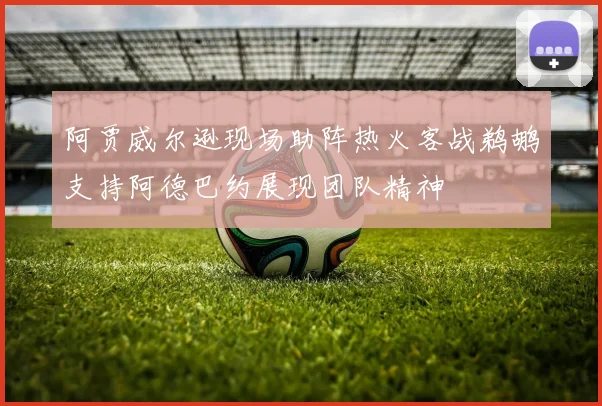 阿贾威尔逊现场助阵热火客战鹈鹕支持阿德巴约展现团队精神